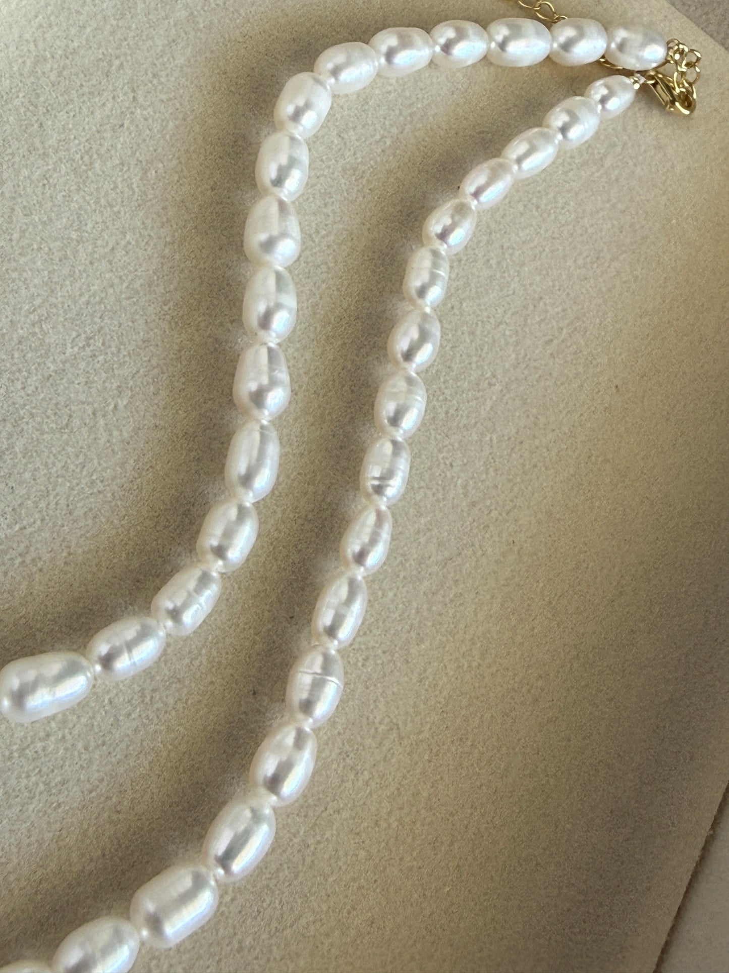 EVA – Pearl Necklace, Gold Plated