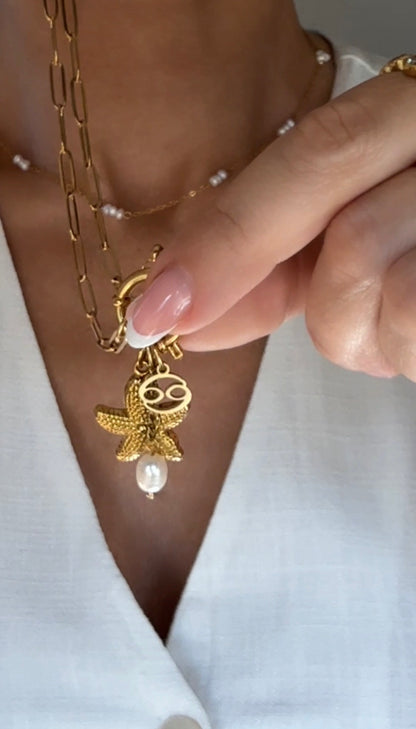 Zodiac Charm Anhänger