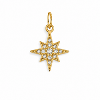 Zirconia Star Z Charm