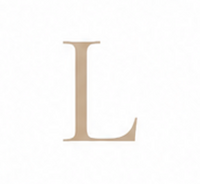 Zirconia Letter L Charm