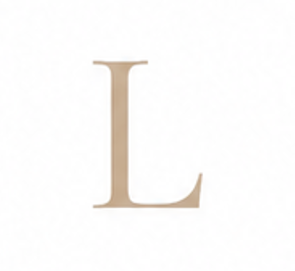 Zirconia Letter L Charm