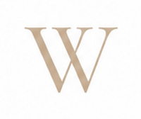Zirconia Letter W Charm