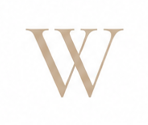 Zirconia Letter W Charm