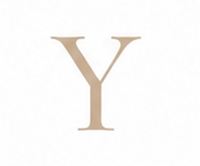 Zirconia Letter Y Charm