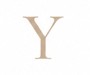Zirconia Letter Y Charm