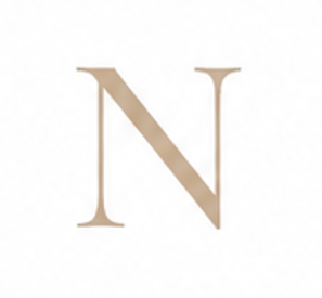 Zirconia Letter N Charm