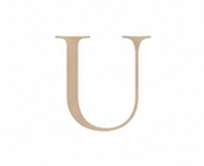 Zirconia Letter U Charm