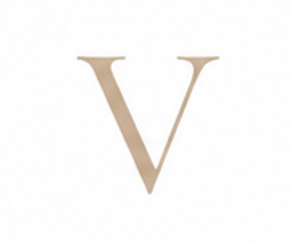Zirconia Letter V Charm